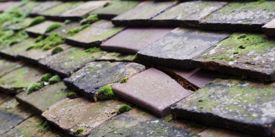 Putnoe roof repair costs